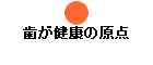 �������N�̌��_