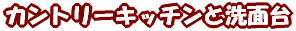 �J���g���[�L�b�`���Ɛ��ʑ�
