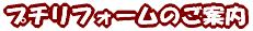 �v�`���t�H�[���̂��ē� 
